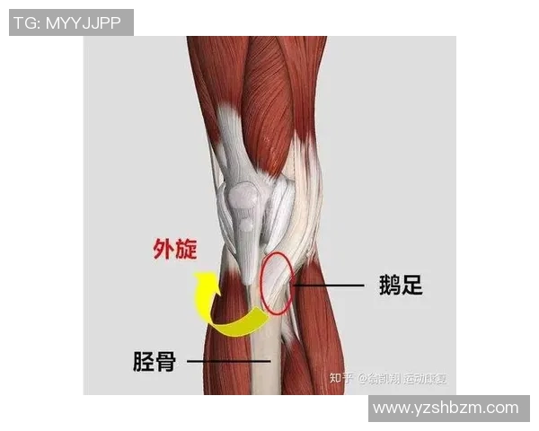 打篮球时膝盖疼痛的原因及缓解方法探讨